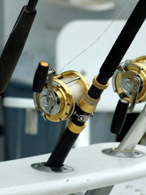 Detailed view of fishing rods with gold reels on a boat, ideal for angling enthusiasts.